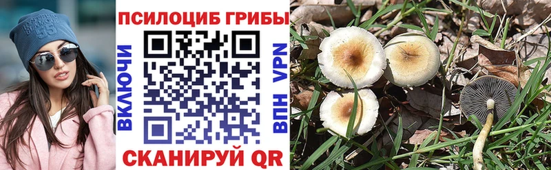 Галлюциногенные грибы Psilocybe Олёкминск